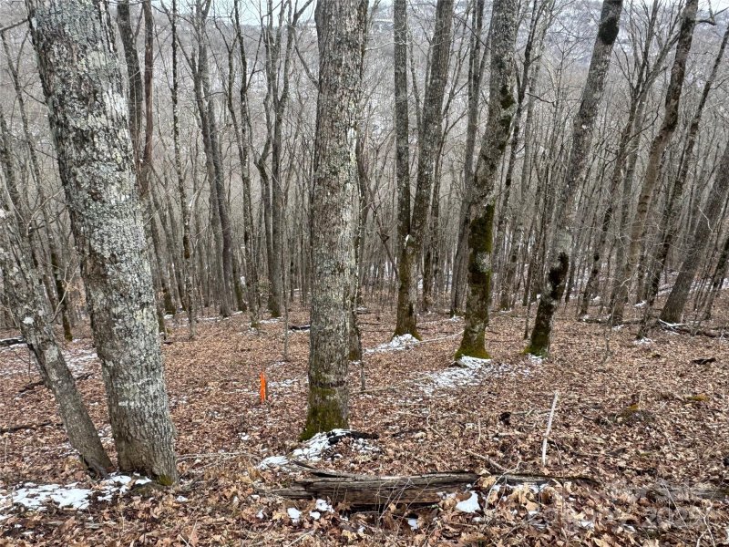 Property image 3 at 234 235 Hanging Rock Road, Mars Hill, NC 28754