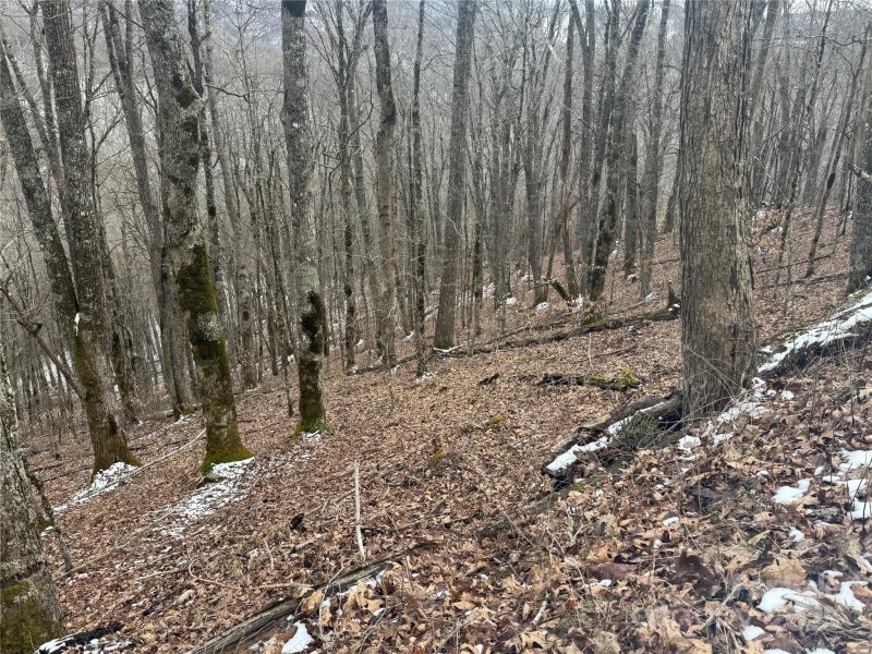 Property image 4 at 234 235 Hanging Rock Road, Mars Hill, NC 28754