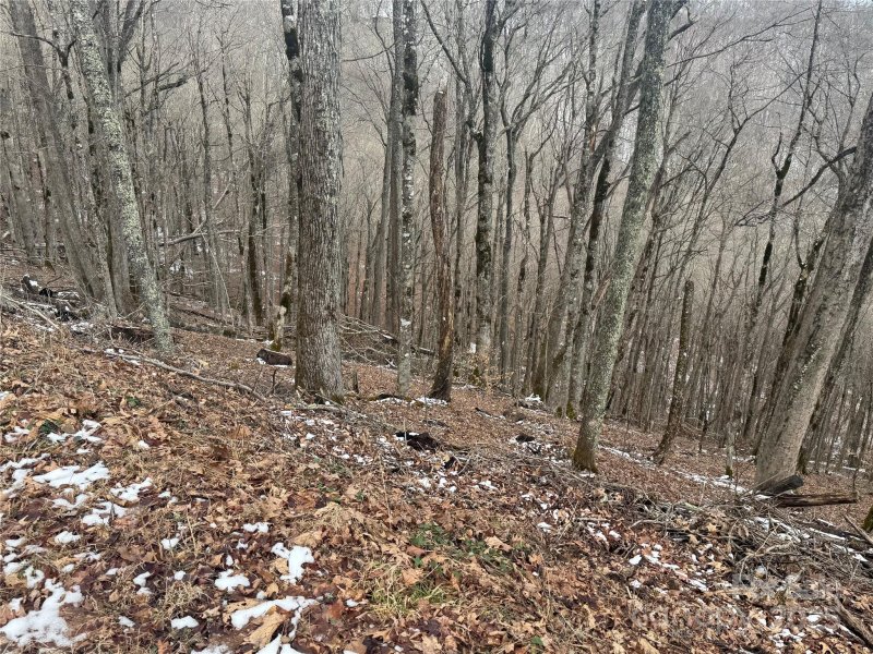 Property image 5 at 234 235 Hanging Rock Road, Mars Hill, NC 28754