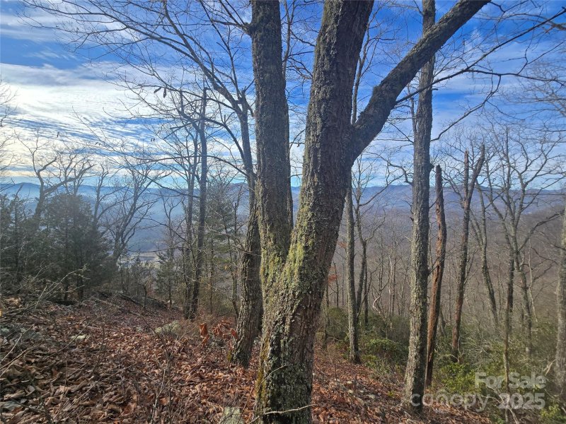 Property image 2 of 0000 Black Mountain Road in LaPorte Acres, Cullowhee, NC 28723