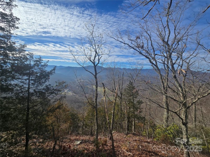 Property image 4 of 0000 Black Mountain Road in LaPorte Acres, Cullowhee, NC 28723