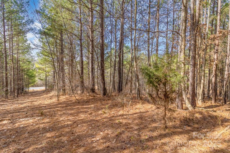 Property image 2 at 100 Riverview Drive, Mooresboro, NC 28114