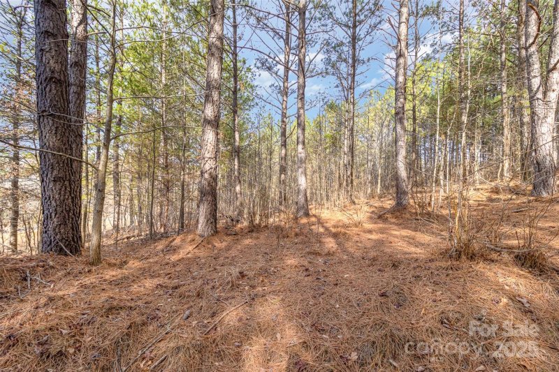 Property image 4 at 100 Riverview Drive, Mooresboro, NC 28114