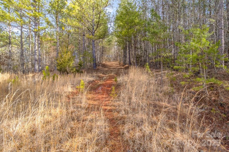 Property image 5 at 100 Riverview Drive, Mooresboro, NC 28114