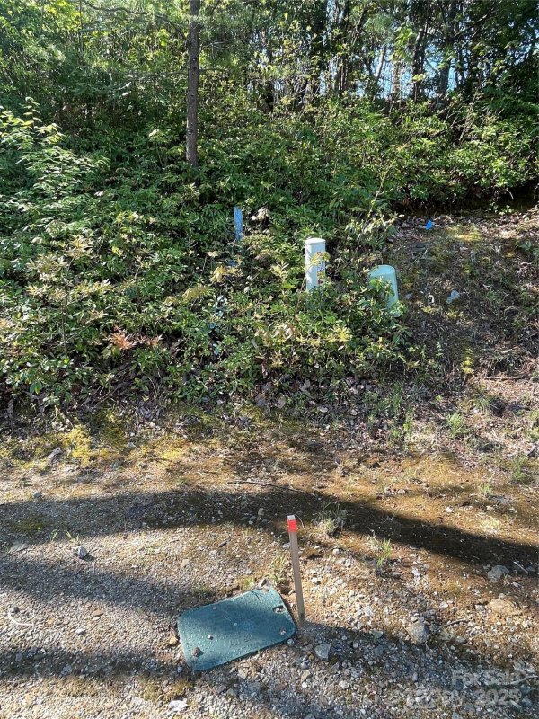 Property image 5 at 59 Mint Hill Court, Flat Rock, NC 28731