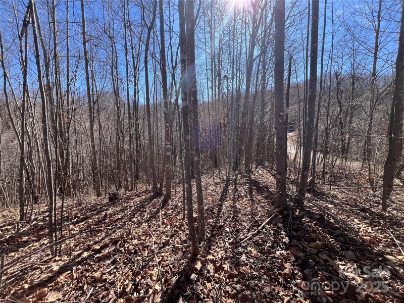 Property image 2 at Lot 156 Kenwood Court, Marion, NC 28752