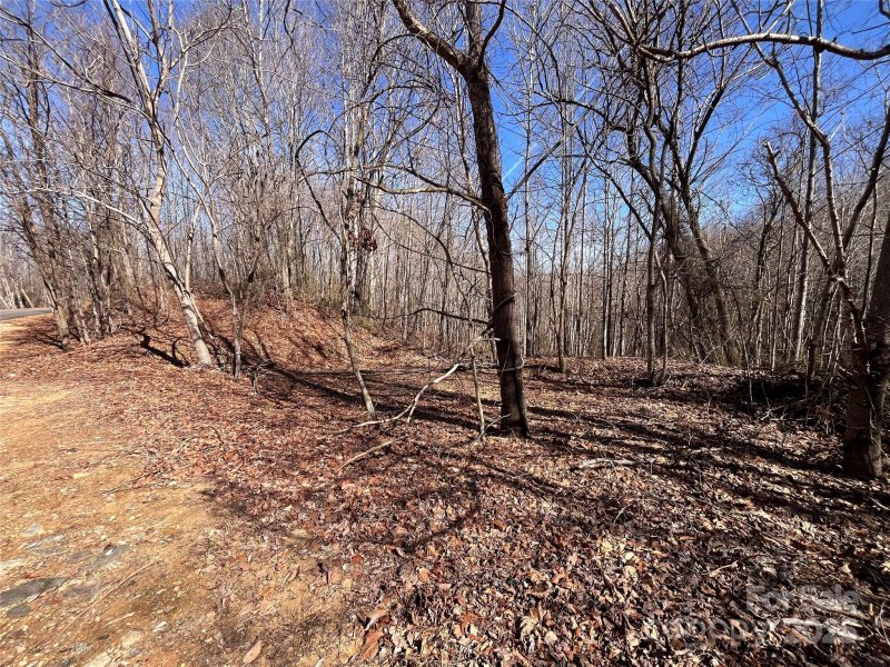 Property image 3 at Lot 156 Kenwood Court, Marion, NC 28752