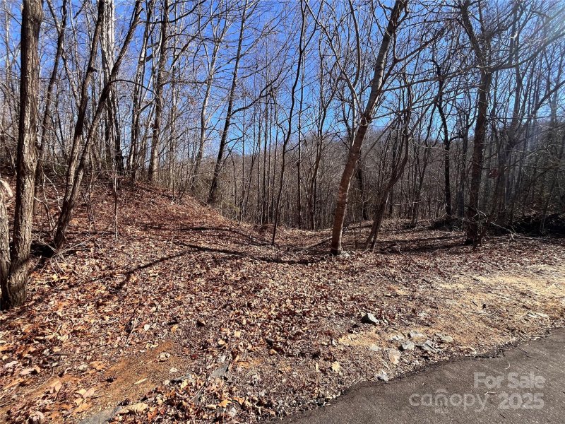 Property image 4 at Lot 156 Kenwood Court, Marion, NC 28752