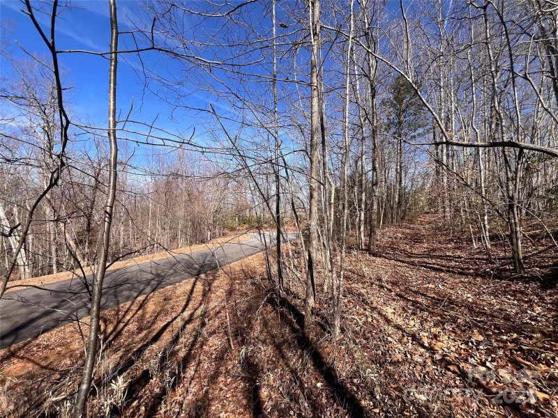 Property image 5 at Lot 156 Kenwood Court, Marion, NC 28752