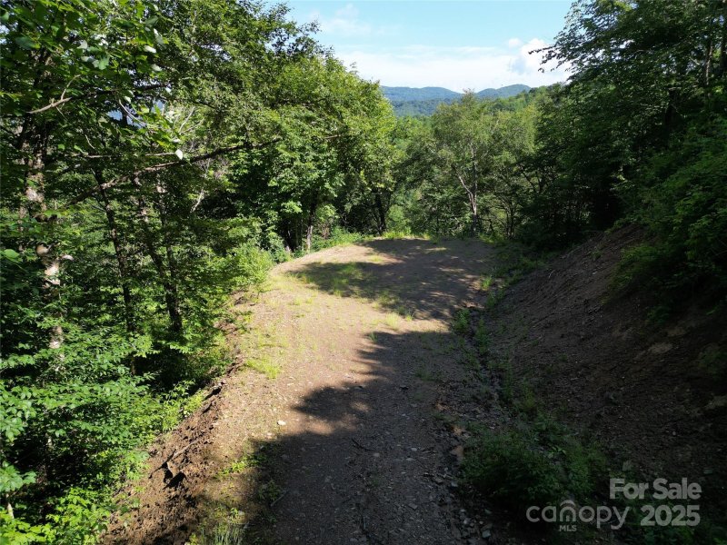 Property image 3 of 3716 Plott Balsam Road in Cranberry Falls, Maggie Valley, NC 28751