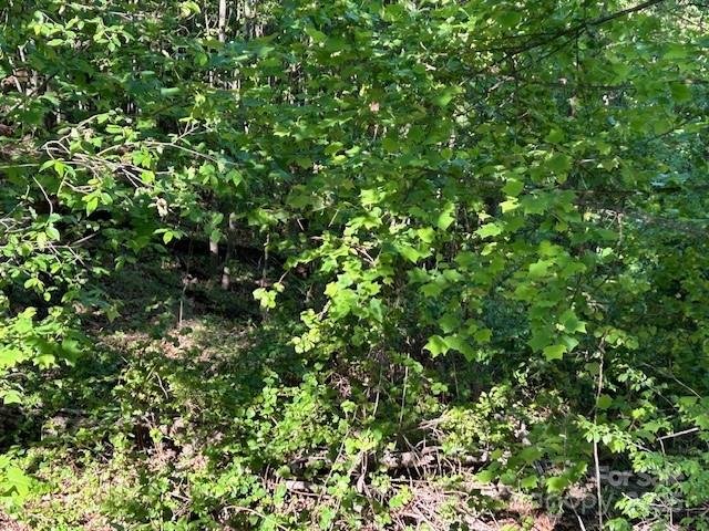 Property image 3 of 0 Arbra Mountain Way in Yellowtop Mountain Estates, Bostic, NC 28018