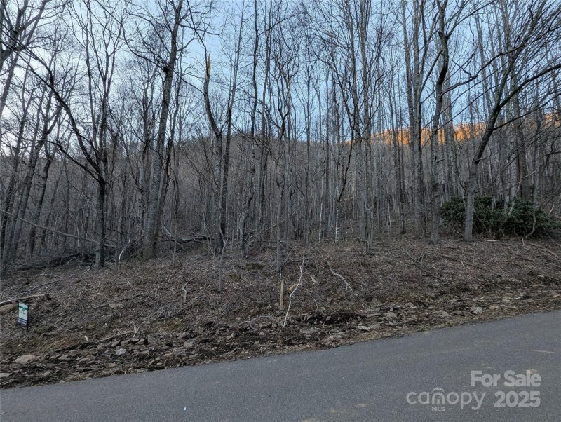 Property image 4 of 47 Wedgewood Terrace in Laurel Ridge, Black Mountain, NC 28711