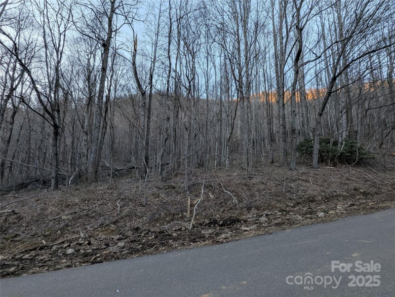 Property image 5 of 47 Wedgewood Terrace in Laurel Ridge, Black Mountain, NC 28711