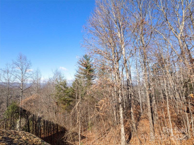 Property image 2 at 34 Chimney Crest Drive, Asheville, NC 28806