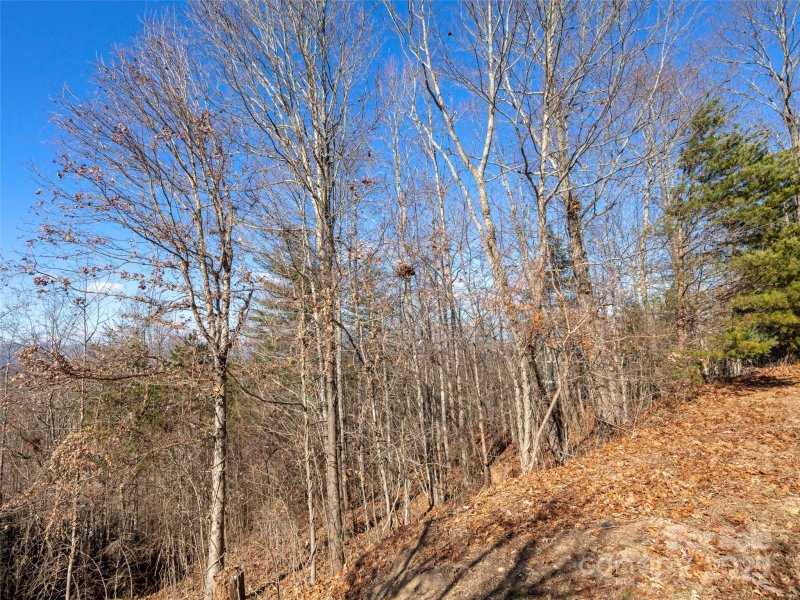 Property image 3 at 34 Chimney Crest Drive, Asheville, NC 28806