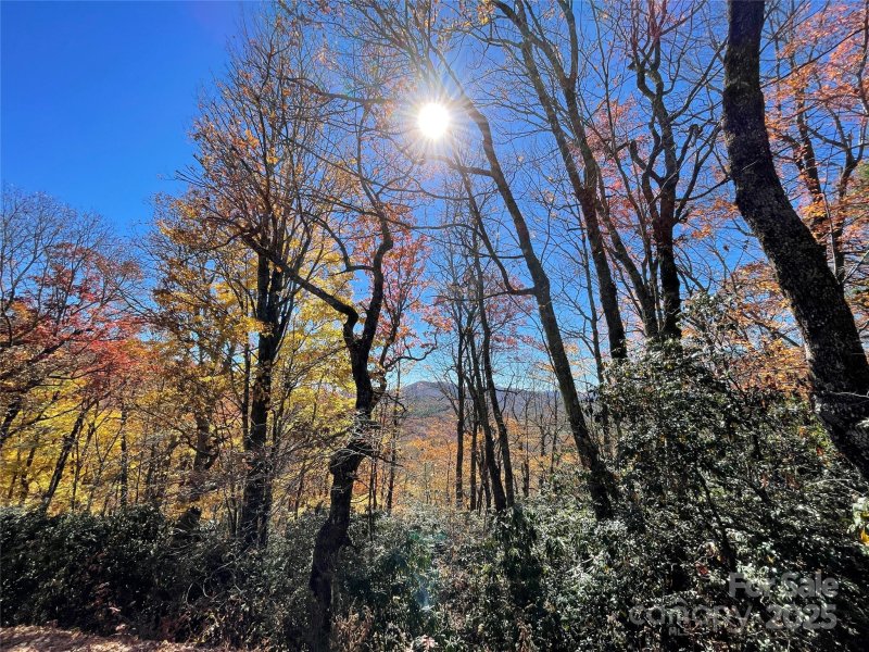 Lot 10 Shirley Pressley Road