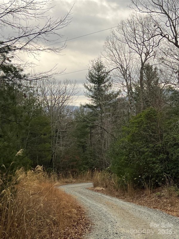 Property image 4 of 000 Dogwood Lane in Dogwood Mountain Estates, Penrose, NC 28739