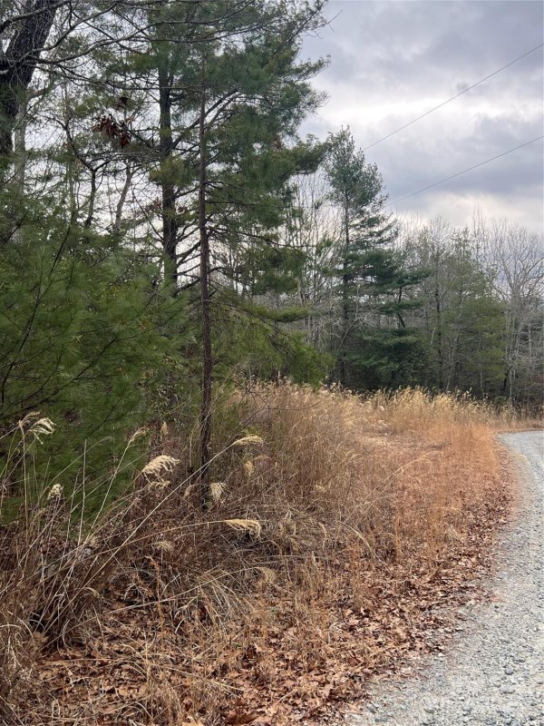 Property image 5 of 000 Dogwood Lane in Dogwood Mountain Estates, Penrose, NC 28739