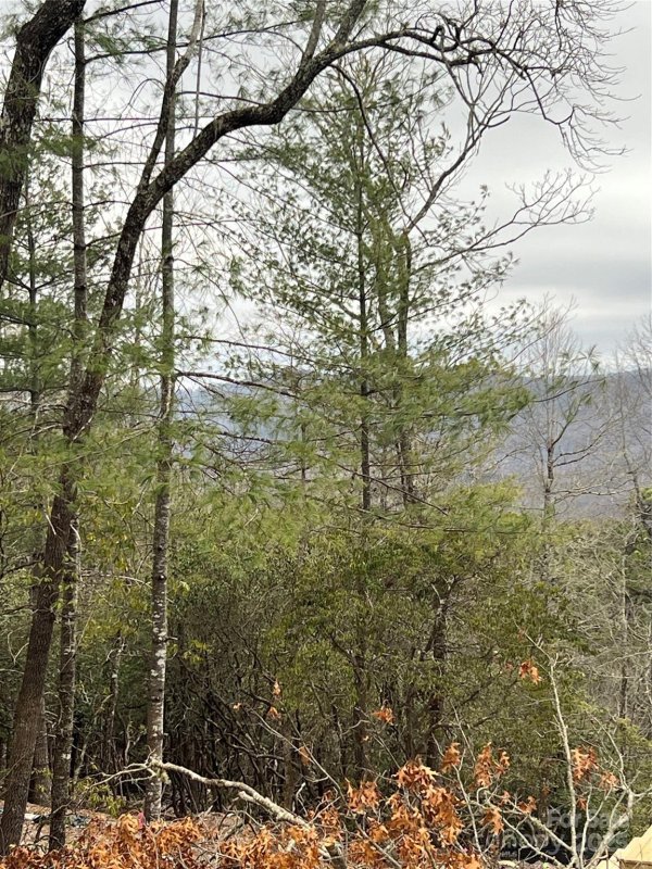Dogwood Mountain Estates, Hendersonville Community