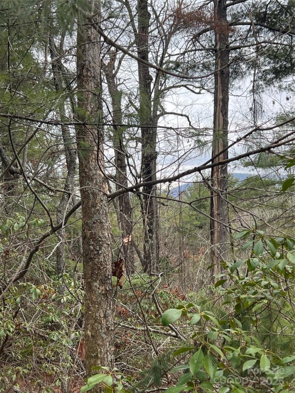 Property image 3 of 000 Emma Bri Lane in Dogwood Mountain Estates, Hendersonville, NC 28739