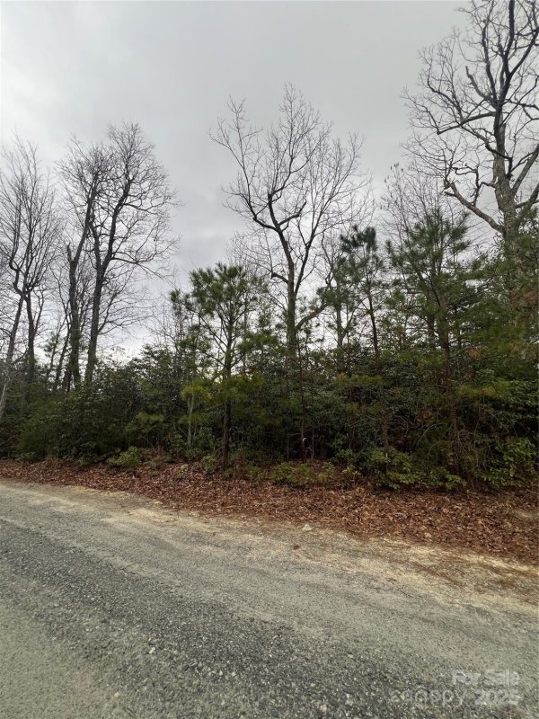 Property image 4 of 000 Emma Bri Lane in Dogwood Mountain Estates, Hendersonville, NC 28739
