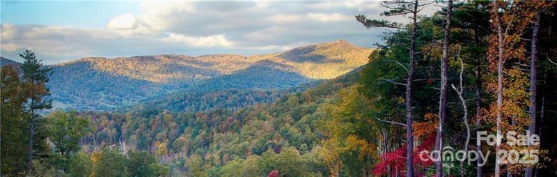 Property image 5 of 11 Franklin Trace Drive in Town Mountain Preserve, Asheville, NC 28804