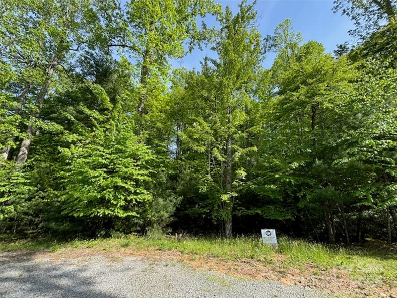 Property image 3 of 99999 Small Creek Road in Blackberry Cove, Brevard, NC 28712