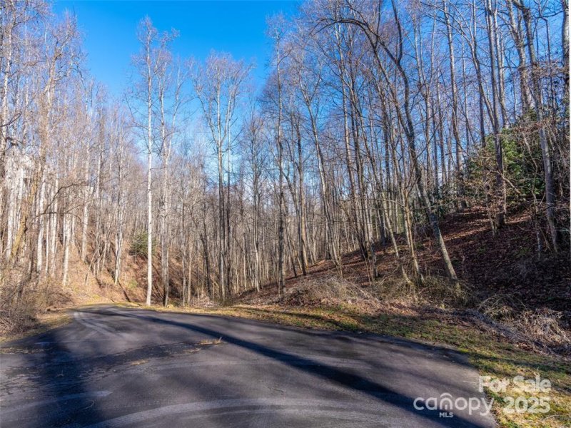 Property image 4 of 19 20 Marcus Ridge Drive in Monarch Estates, Fairview, NC 28730