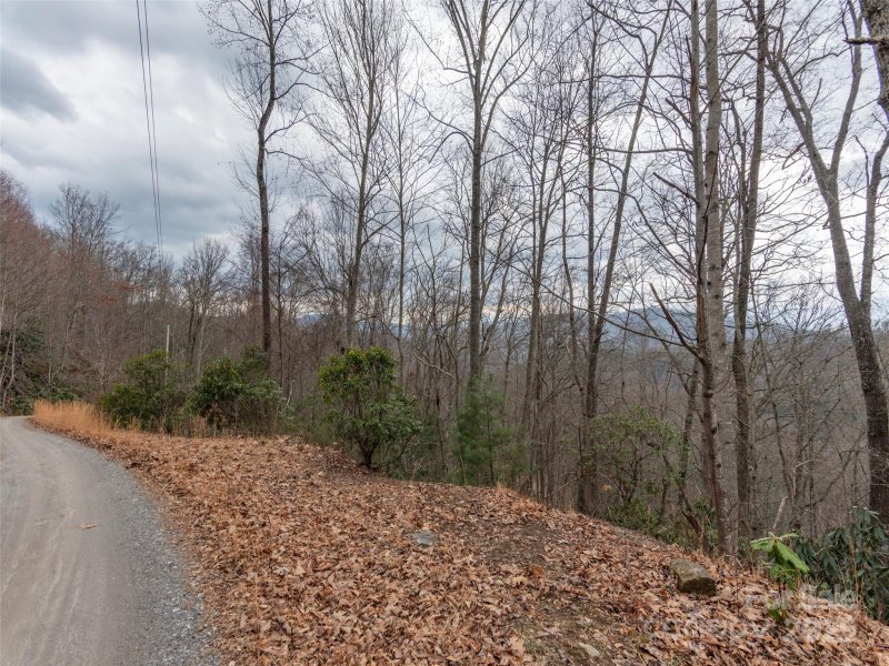 Property image 5 of 00 Cherry Berry Drive in Twin Oaks Estate, Waynesville, NC 28785