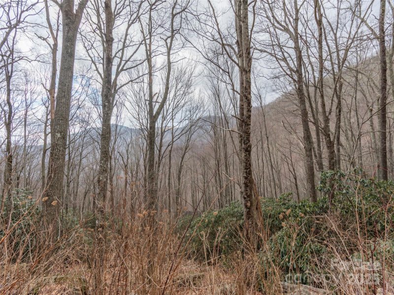 Property image 3 of 00 Bald Creek Road in Quail Cove, Clyde, NC 28721