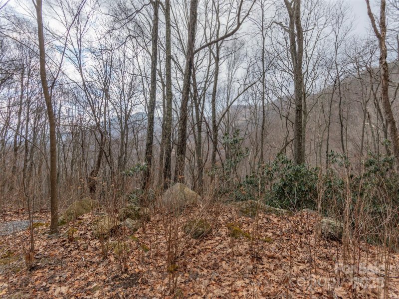 Property image 4 of 00 Bald Creek Road in Quail Cove, Clyde, NC 28721