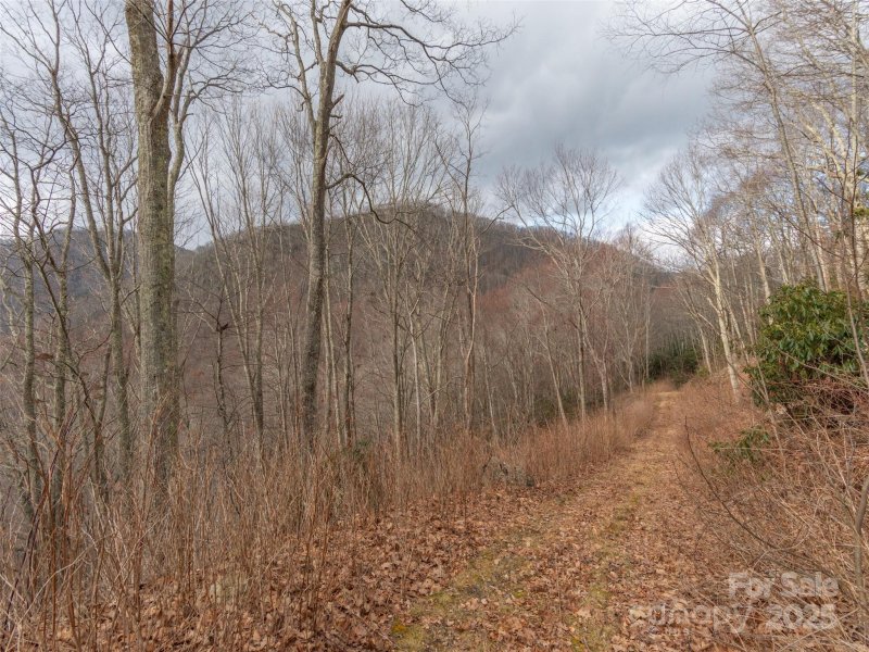 Property image 5 of 00 Bald Creek Road in Quail Cove, Clyde, NC 28721