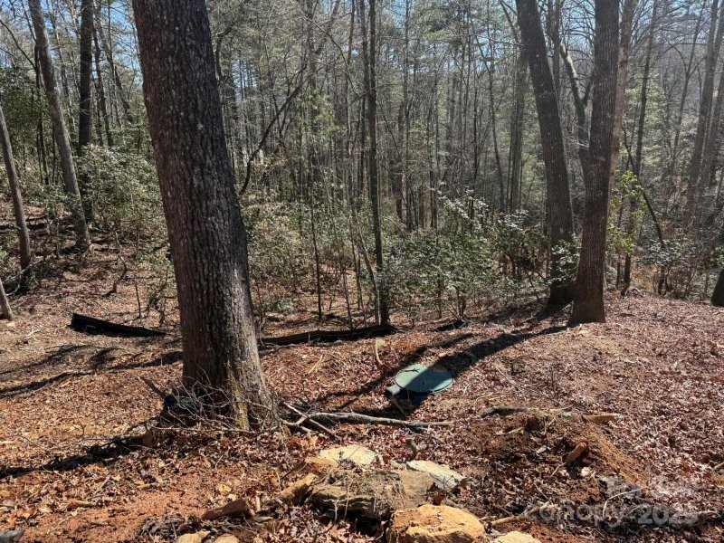 Property image 4 at 355 Oxford Court, Brevard, NC 28712