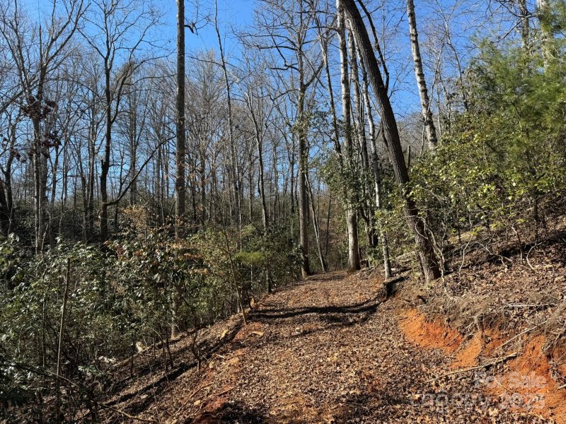 Property image 5 at 355 Oxford Court, Brevard, NC 28712