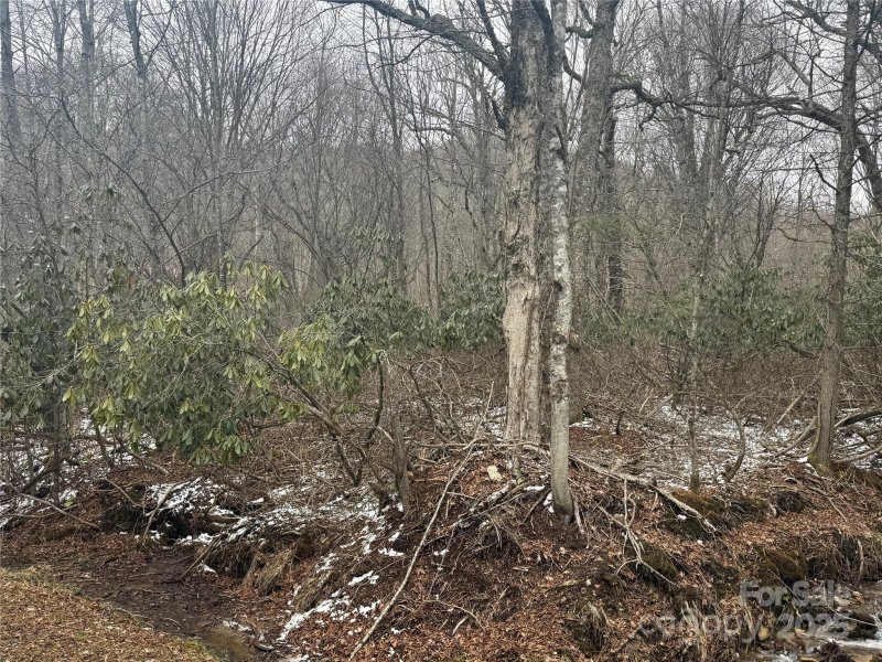 Property image 2 of 640 Hemlock Lane in Wolf Laurel, Mars Hill, NC 28754