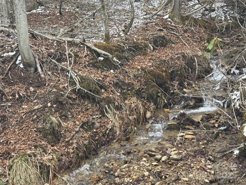 Property image 3 of 640 Hemlock Lane in Wolf Laurel, Mars Hill, NC 28754