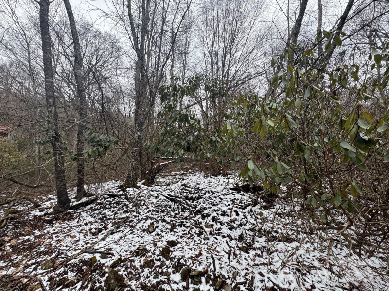 Property image 4 of 640 Hemlock Lane in Wolf Laurel, Mars Hill, NC 28754