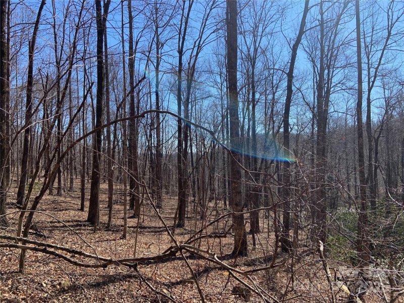 Tbd Glen Ridge Trail