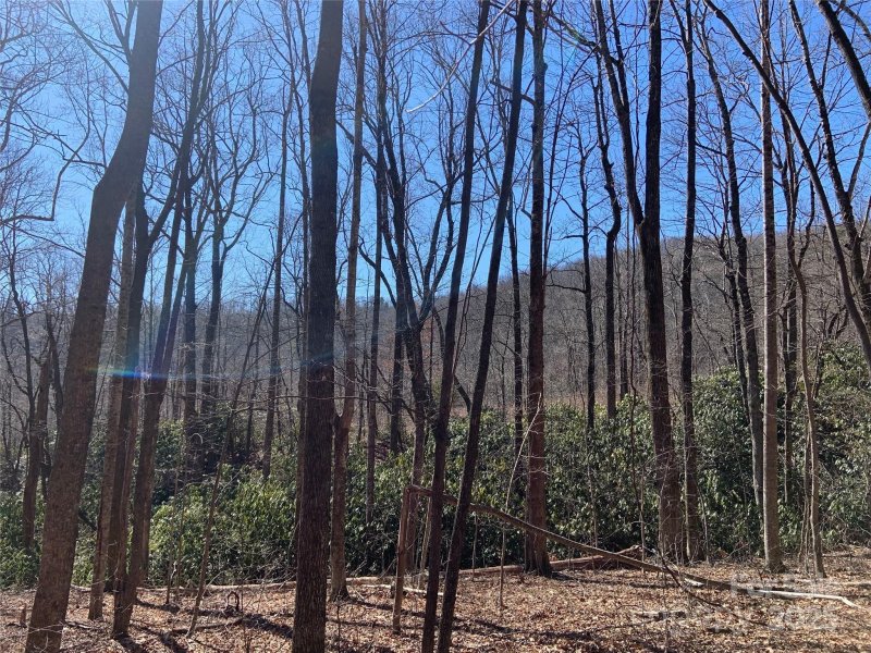 Property image 3 of Tbd Glen Ridge Trail in Grey Rock at Lake Lure, Lake Lure, NC 28746
