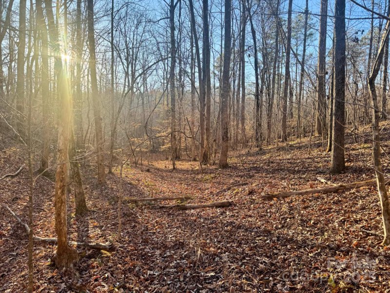Property image 3 at 0 Bitteroot Circle, Rutherfordton, NC 28139