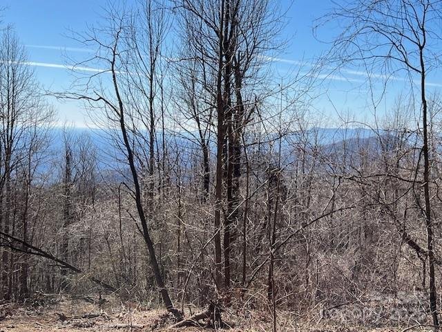 Property image 2 at 937 South View Road, Old Fort, NC 28762