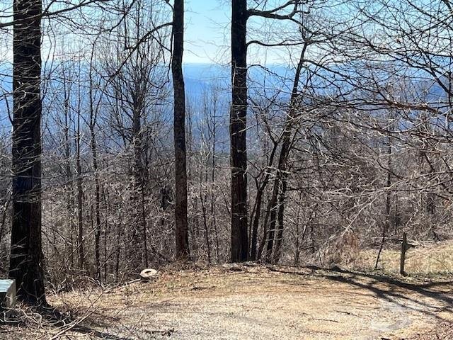 Property image 3 at 937 South View Road, Old Fort, NC 28762