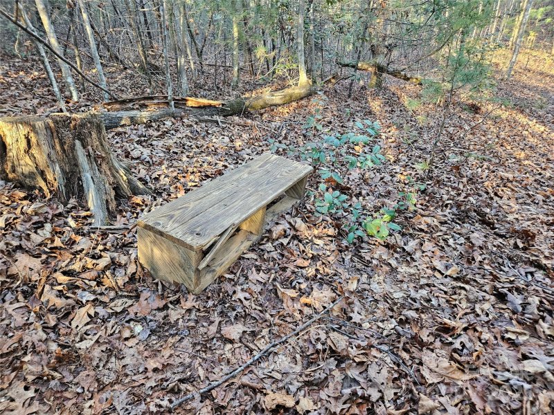 Property image 3 of 3163 Lake Drive in The Oaks at Hunters Ridge, Morganton, NC 28655