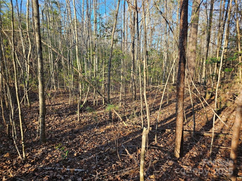 Property image 4 of 3163 Lake Drive in The Oaks at Hunters Ridge, Morganton, NC 28655