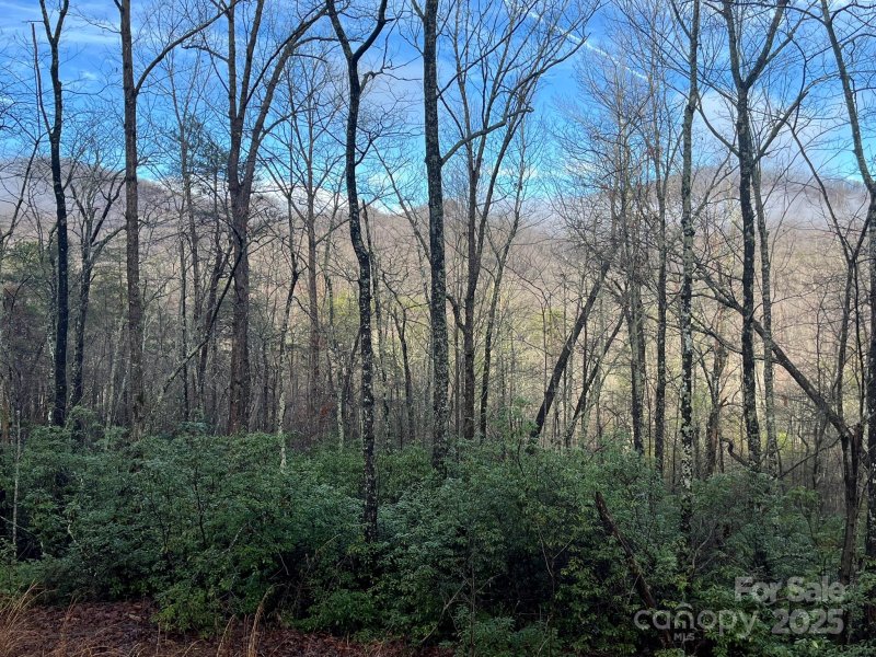 Property image 5 of 00 Ridgecrest Drive in Riverbend Highlands, Lake Lure, NC 28746