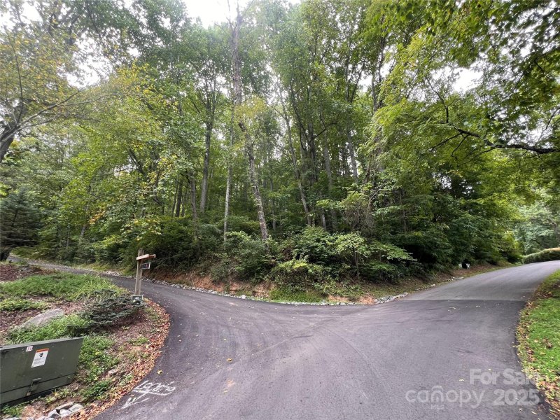 Property image 3 of 2 Trillium Drive in Springdale Estates, Canton, NC 28716