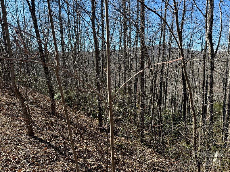 Property image 3 of 239 Fuji Falls Trail in Catawba Falls Preserve, Black Mountain, NC 28711