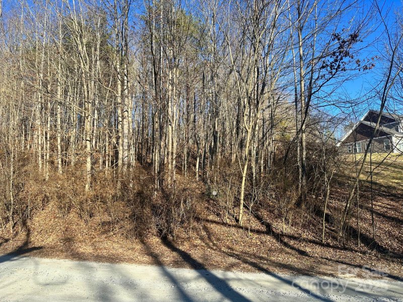 Property image 5 at Lot 2 Glenhaven Drive, Marion, NC 28752