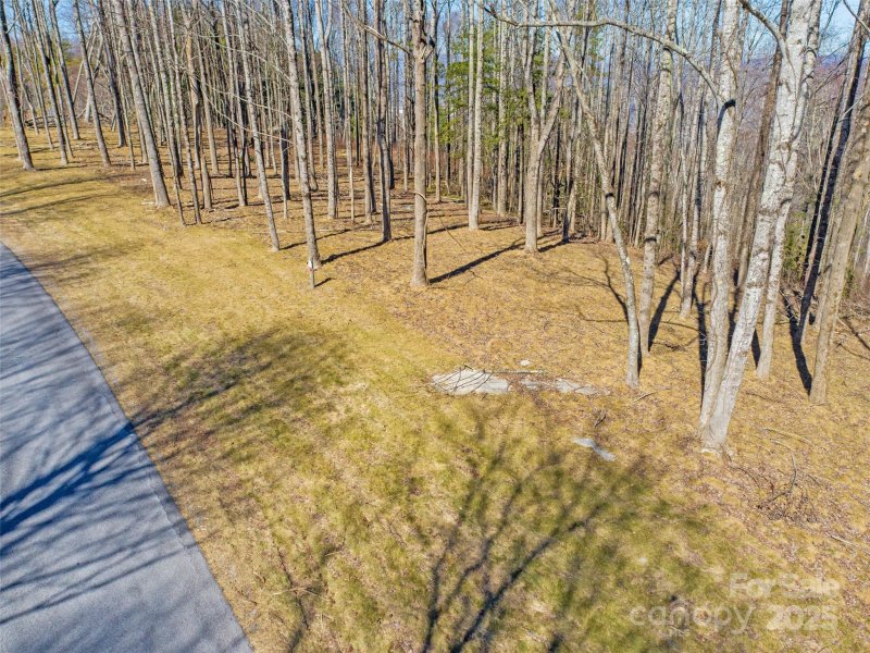 Property image 2 of 000 16 East Garden Trail in Sprout, Hendersonville, NC 28792