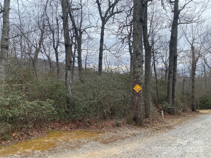 Property image 2 of Lot 10 Mountain Cove Road in Woodcliffe, Hendersonville, NC 28711